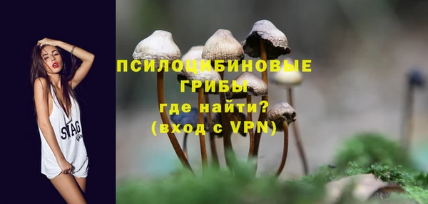 ALPHA PVP Арсеньев
