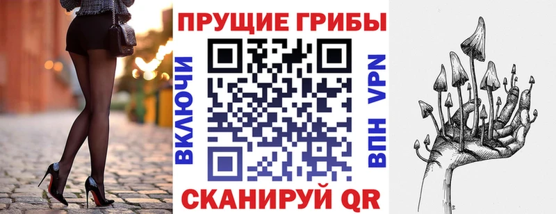 blacksprut tor  Советская Гавань  Галлюциногенные грибы Magic Shrooms 